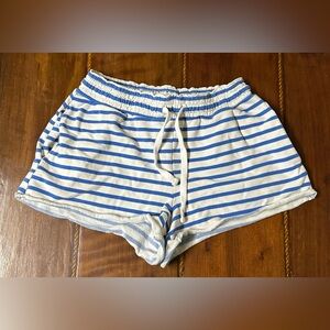 Blue and White Striped Women's American Eagle Shorts Small